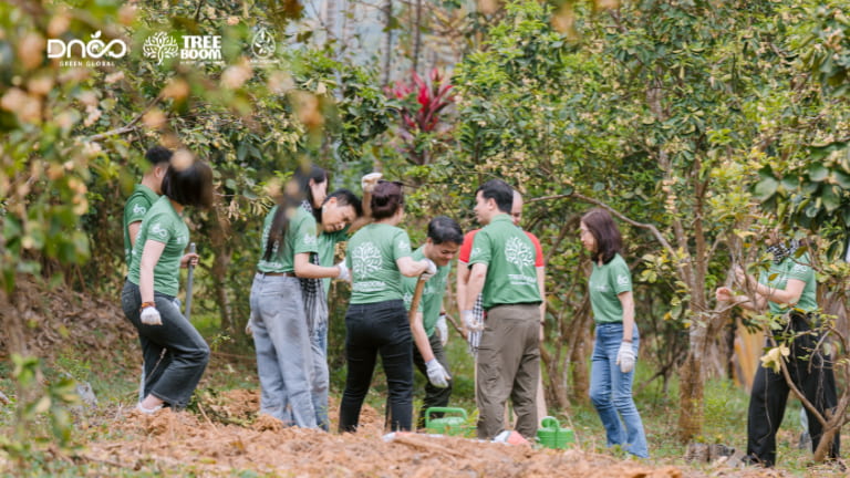 Các thành viên TreeBoomers chia thành các đội để cùng nhau trồng cây