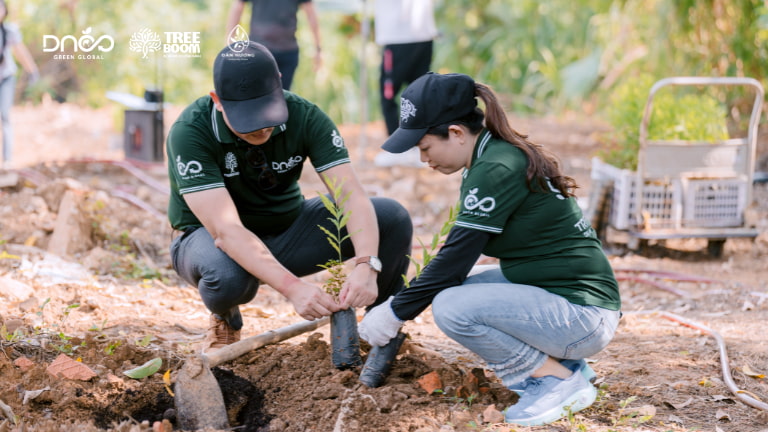 Các TreeBoomers hăng say trồng cây